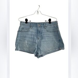Wild Fable Light Blue Jean Shorts